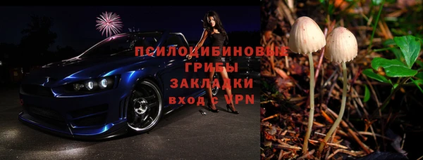 spice Алзамай