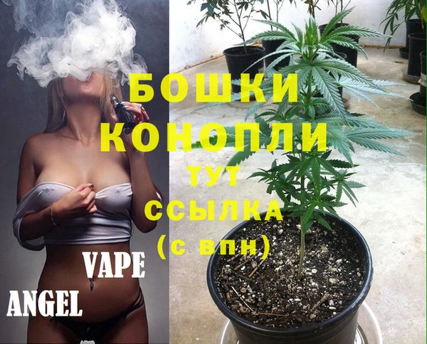 spice Алзамай
