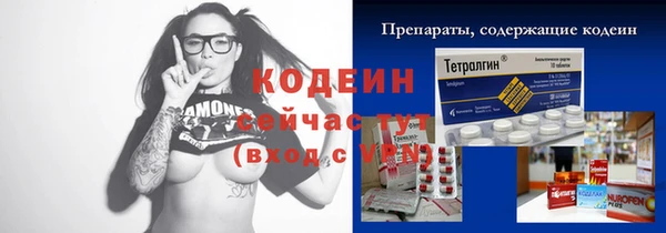 крисы Слюдянка