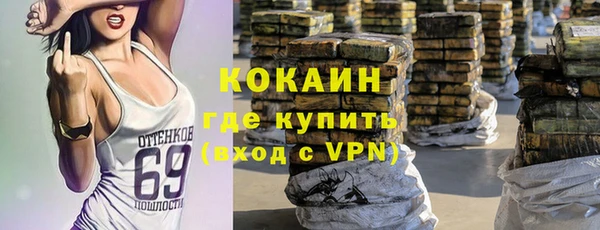 spice Алзамай